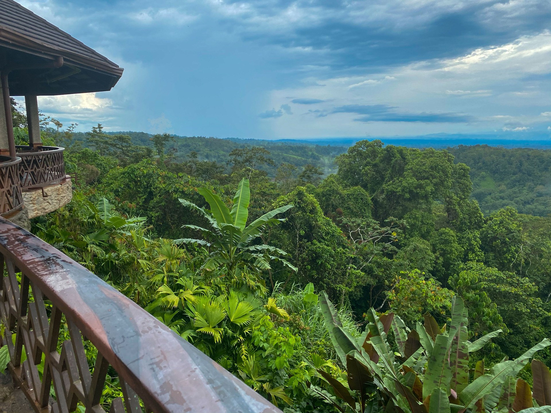 Cabana balcony railing in jungle rainforest tree line with cloudy skies