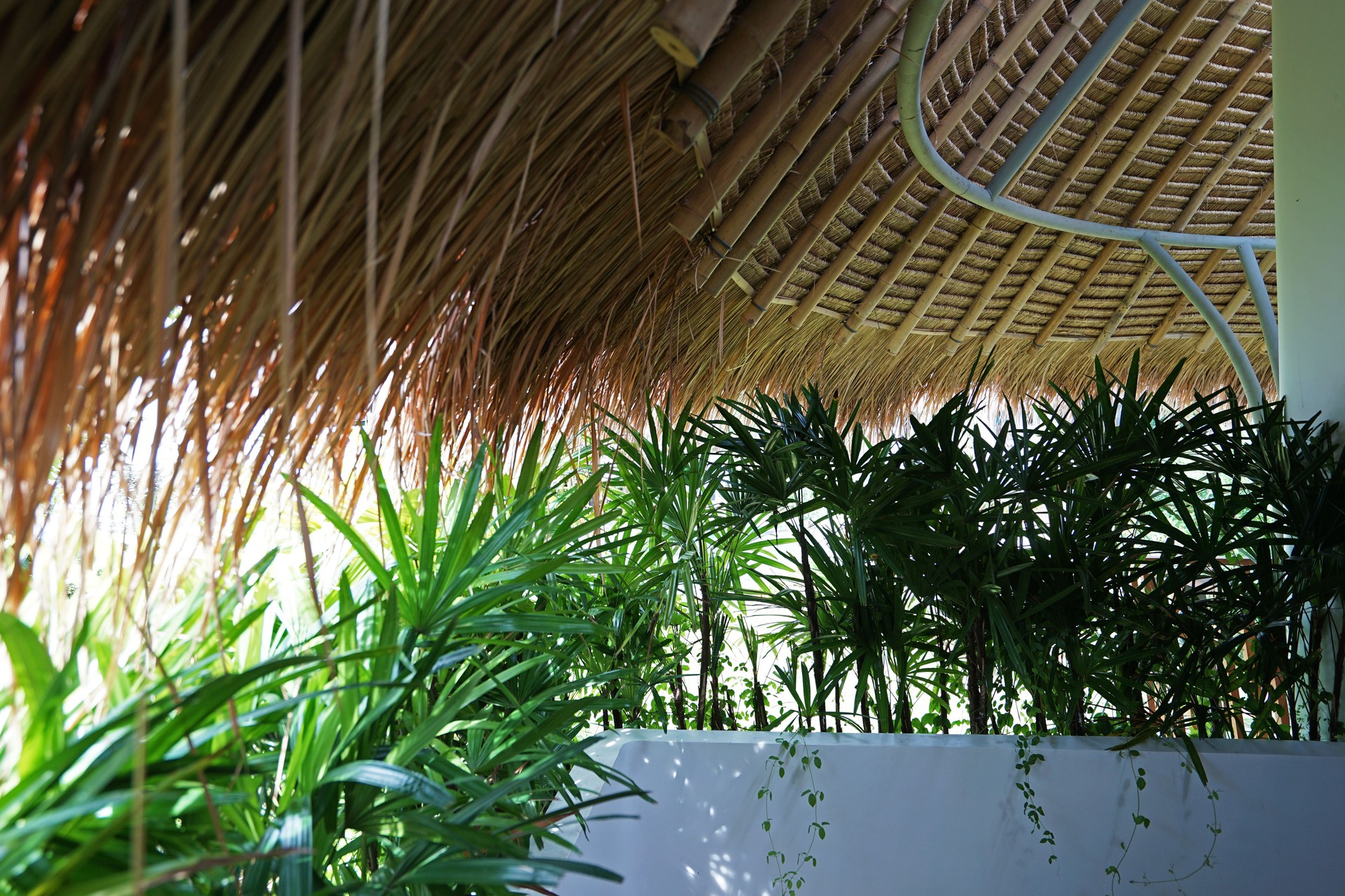 Exterior rustic terrace architecture and wooden balcony design of RESORT AND SPA private villa