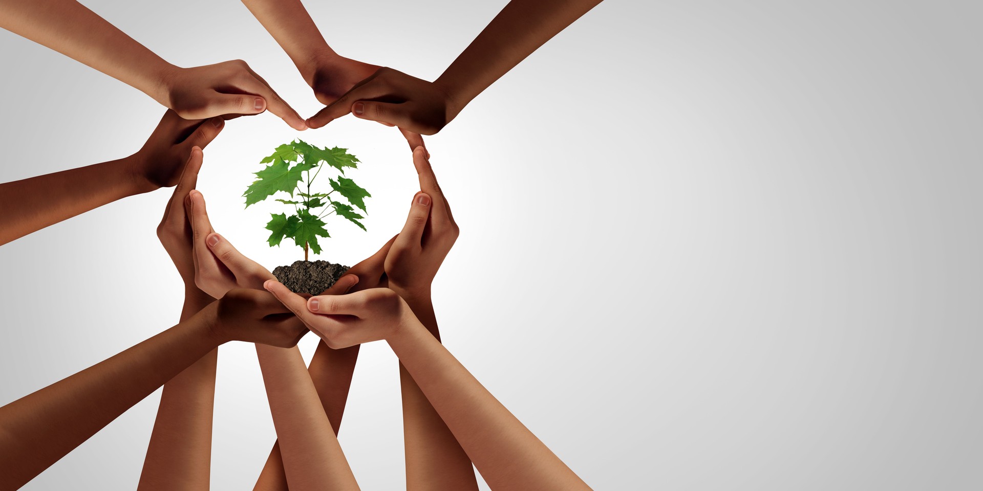 Earth day And Earthday
